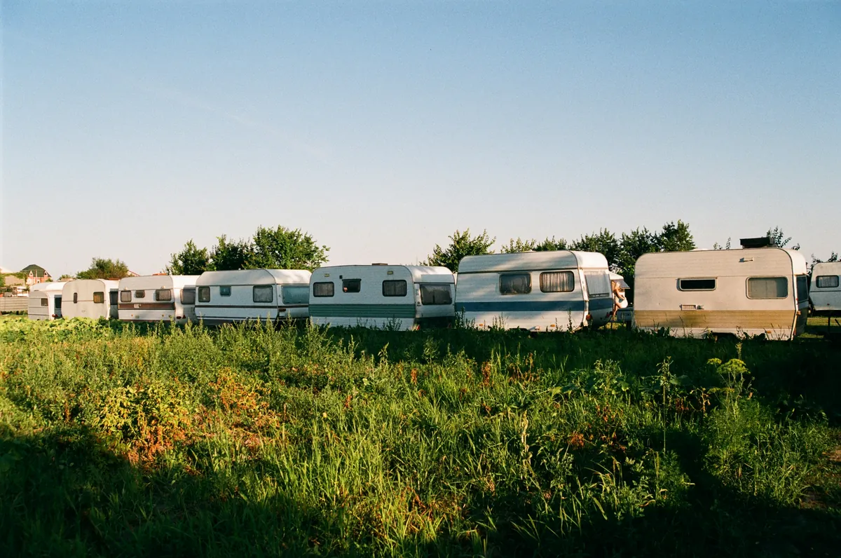 Travel trailers parked along a tree line beside a meadow
